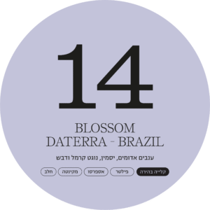 בלוסום, דאטרה | ברזיל