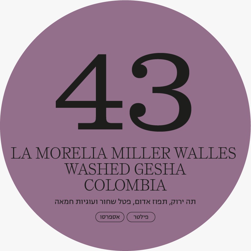 La Morelia Miller Walles washed Gesha