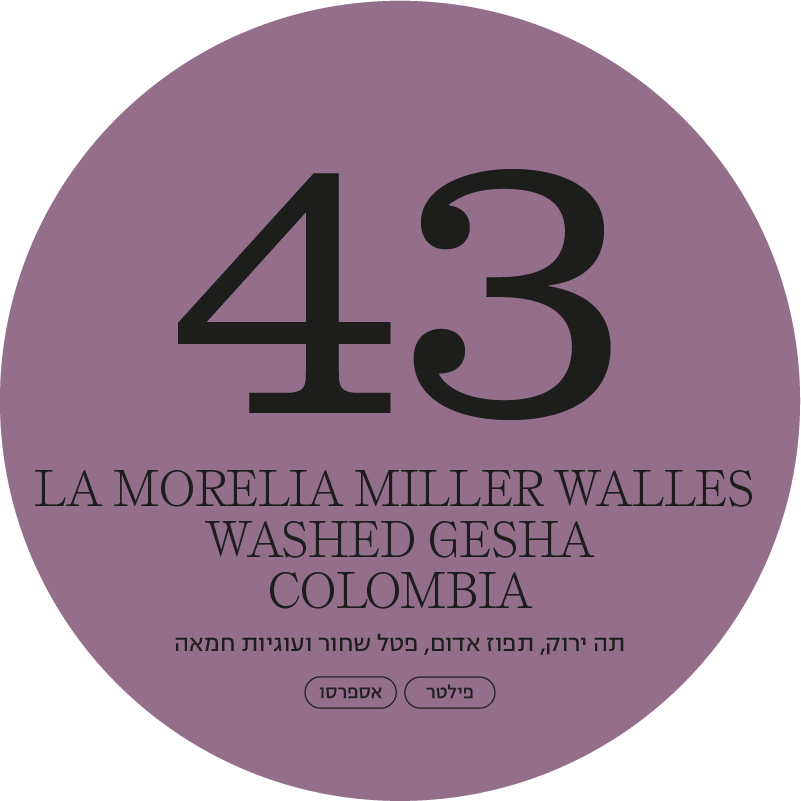 La Morelia Miller Walles washed Gesha